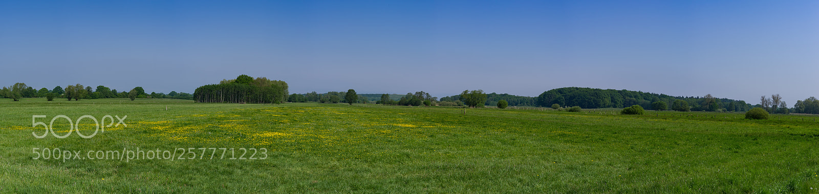 Pentax K-5 sample photo. Krummesser moor photography
