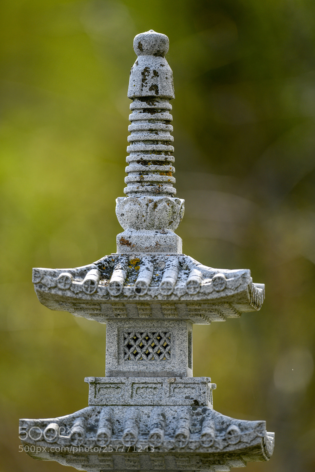 Nikon D850 sample photo. Untitled photography