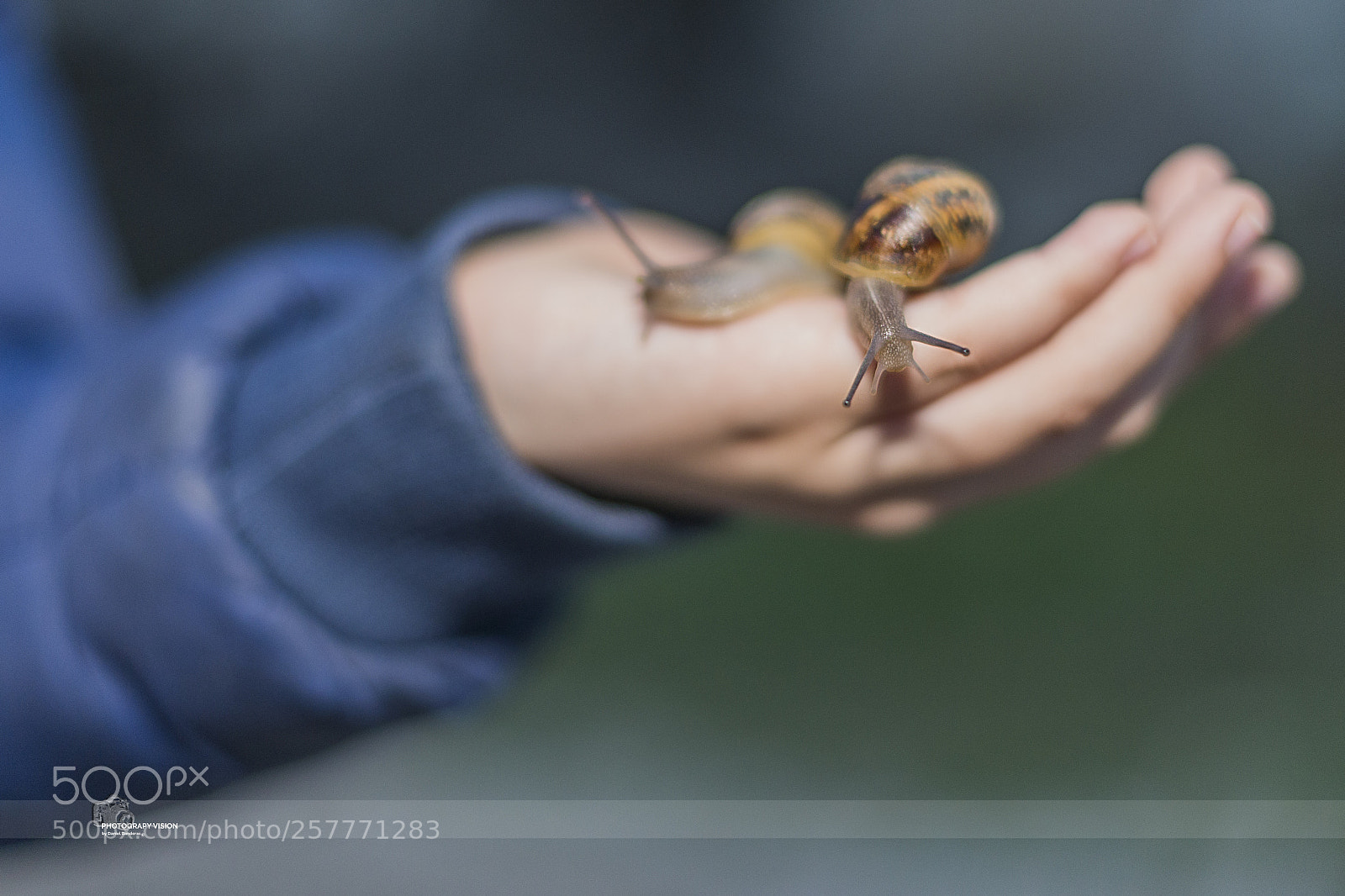 Nikon D610 sample photo. Explorers photography