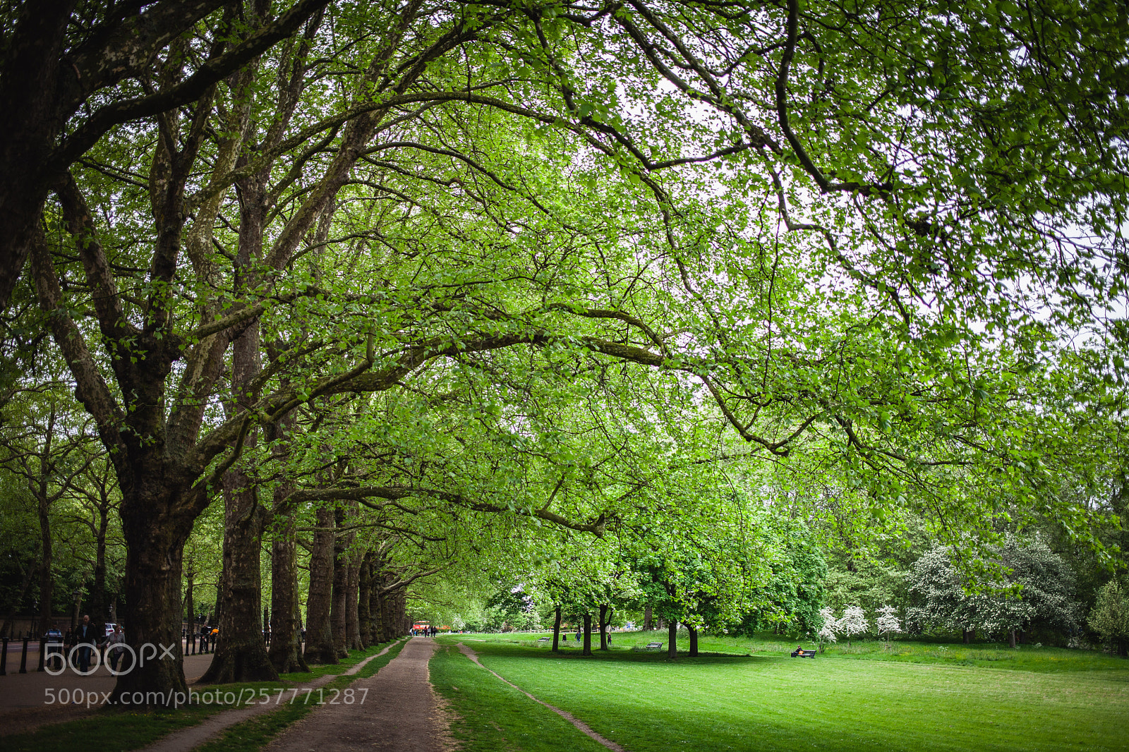 Canon EOS 5D Mark II sample photo. London - nature photography