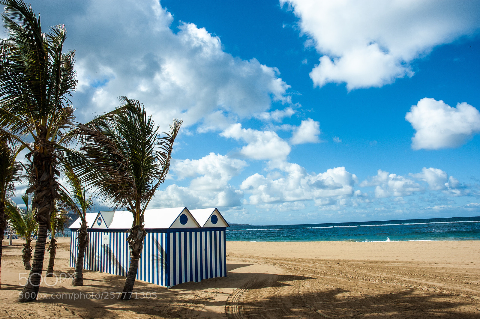 Nikon D70s sample photo. I gonna go surfing photography