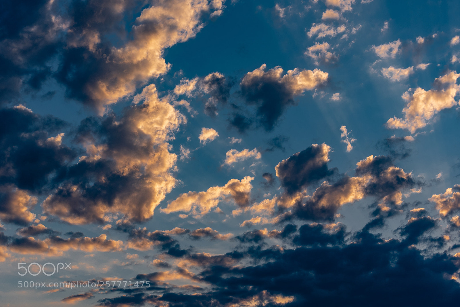 Nikon D750 sample photo. Clouds! photography
