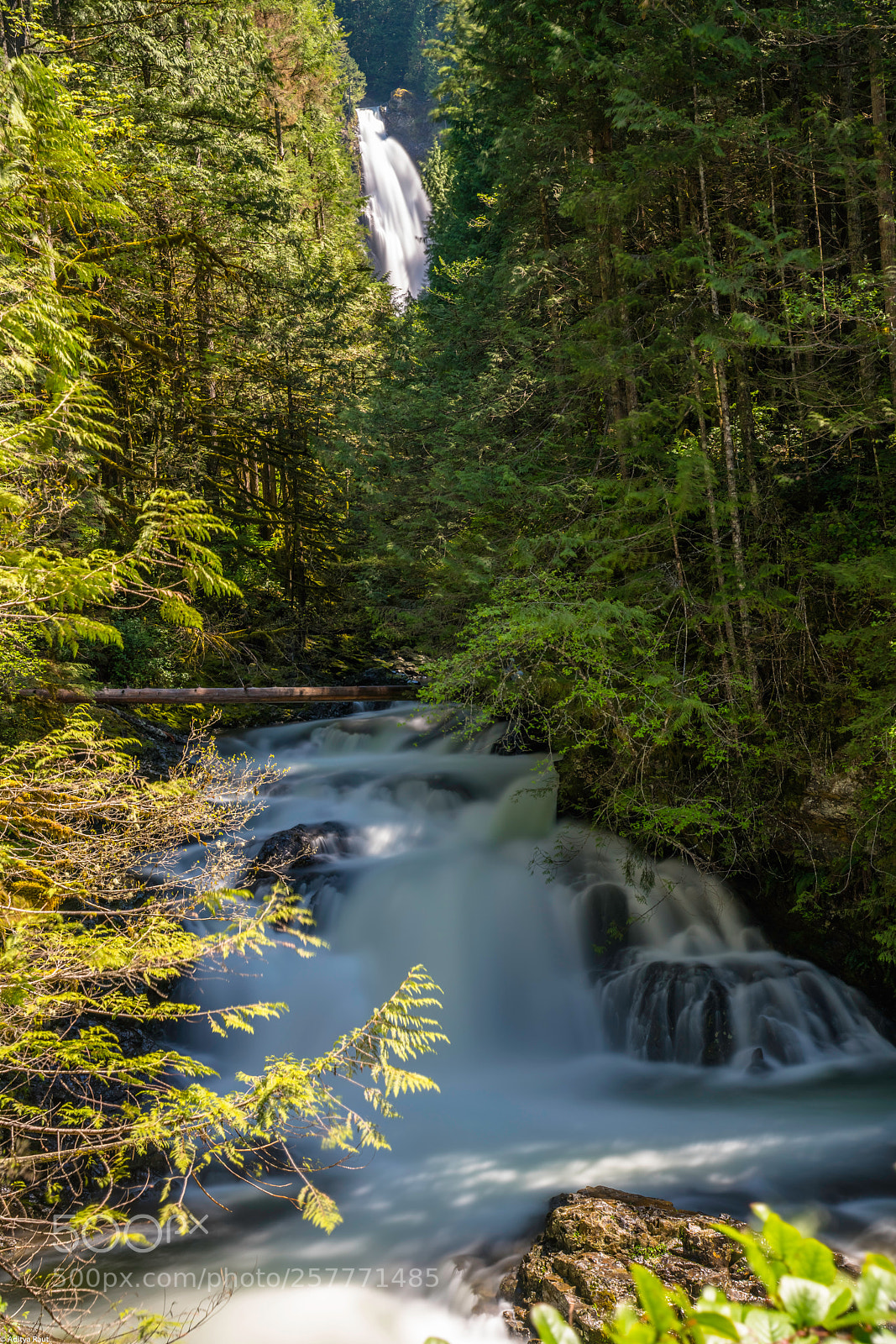 Sony a7R II sample photo. Wallace falls photography