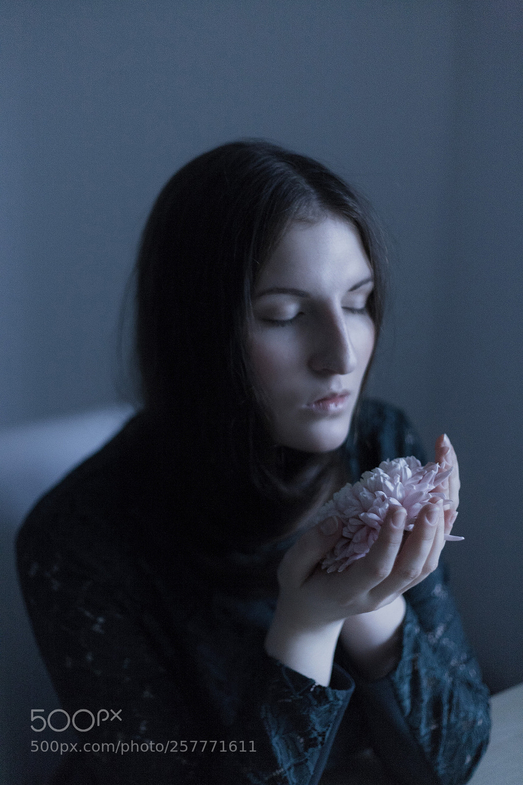 Canon EOS 5D sample photo. Blossom photography
