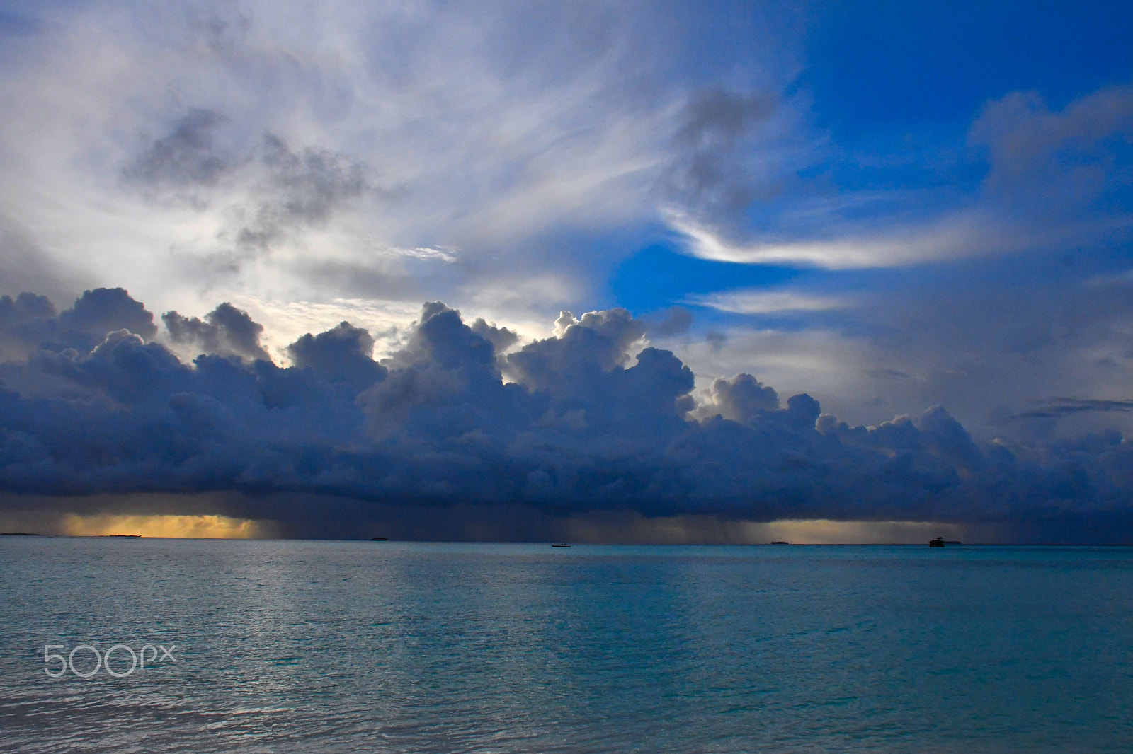 Nikon D500 sample photo. Moving picture photography