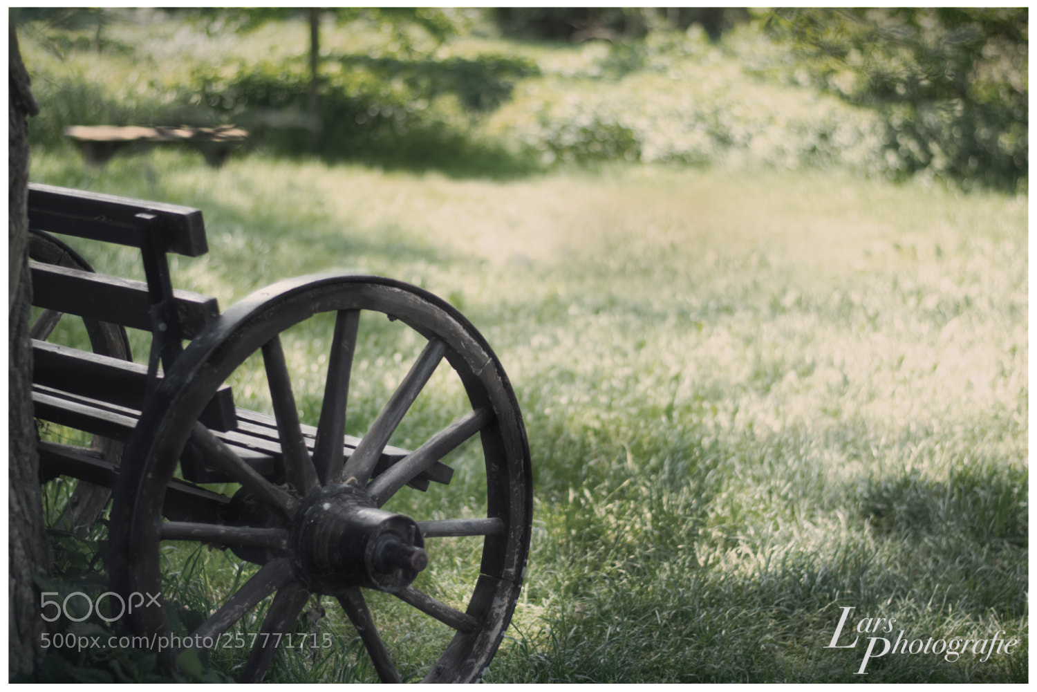 Nikon D5300 sample photo. Entspannung photography
