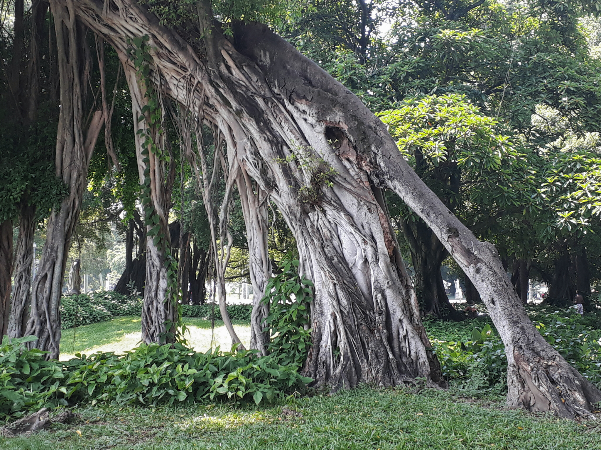 Samsung Galaxy J7 Prime sample photo