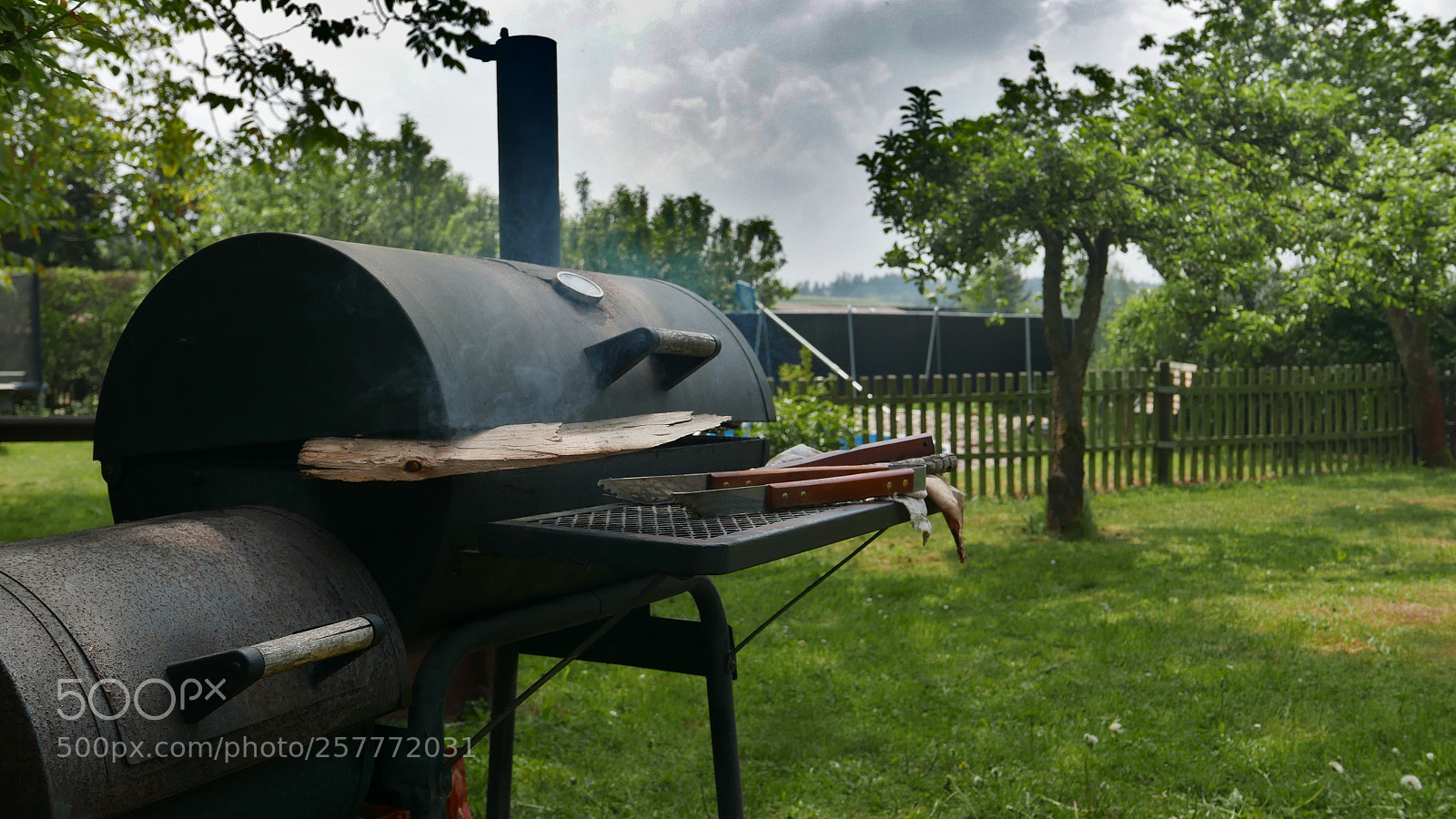 Panasonic Lumix DMC-LX100 sample photo. Grilling day photography