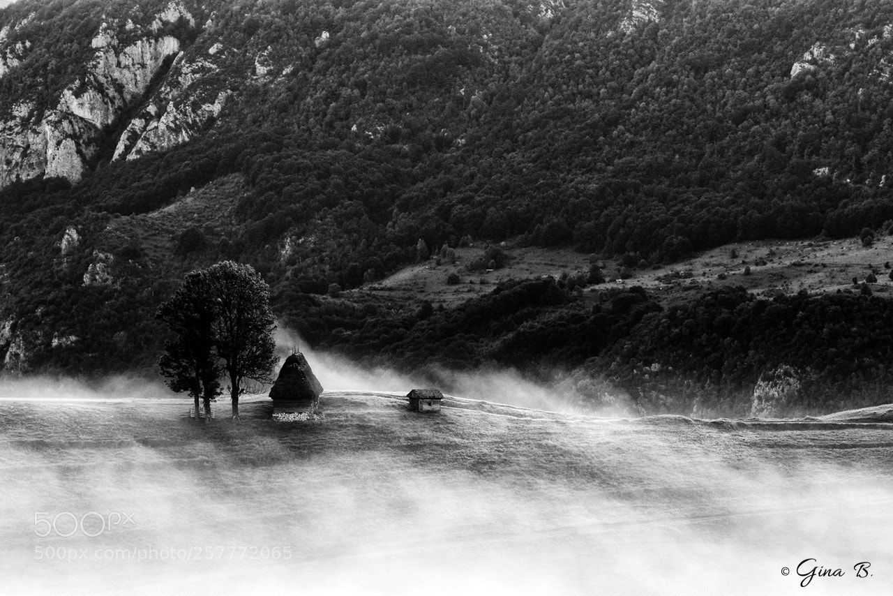 Nikon D3300 sample photo. Misty land photography