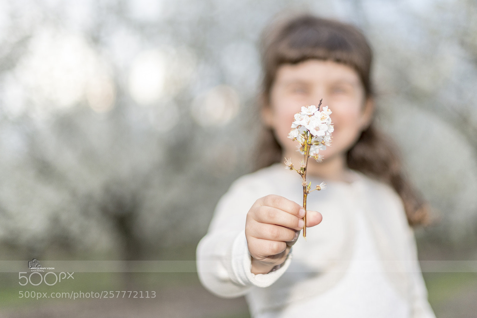 Nikon D610 sample photo. For you photography