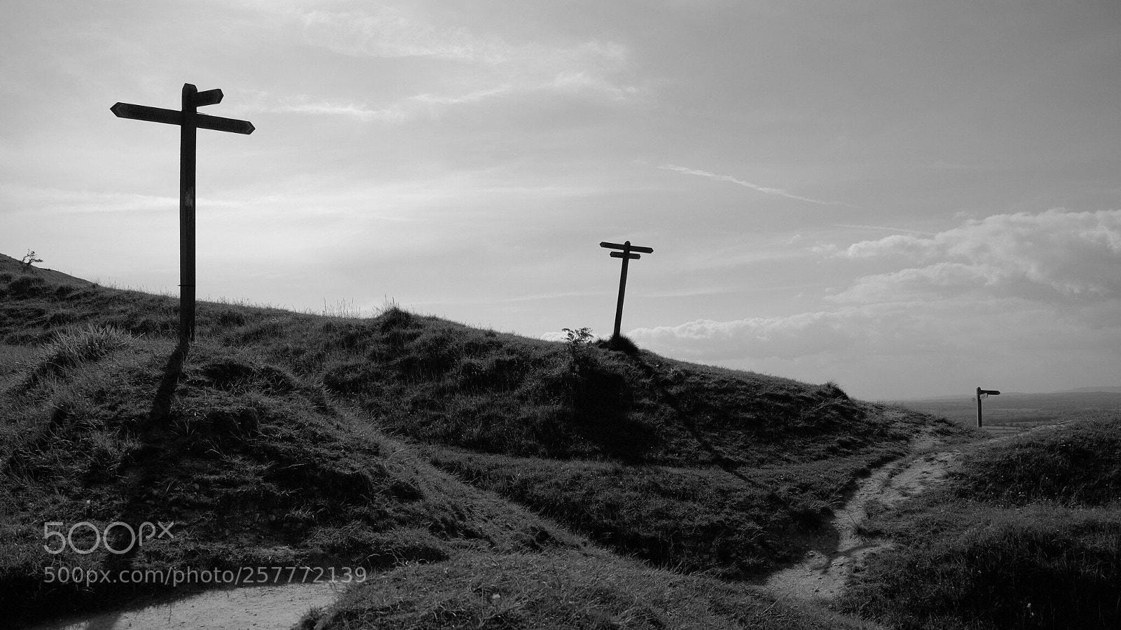 Fujifilm X-T1 sample photo. Public footpath signs photography