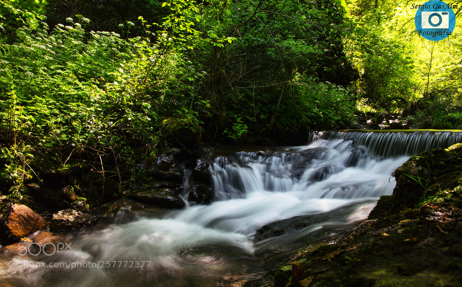 Nikon D3200 sample photo. Water of life photography