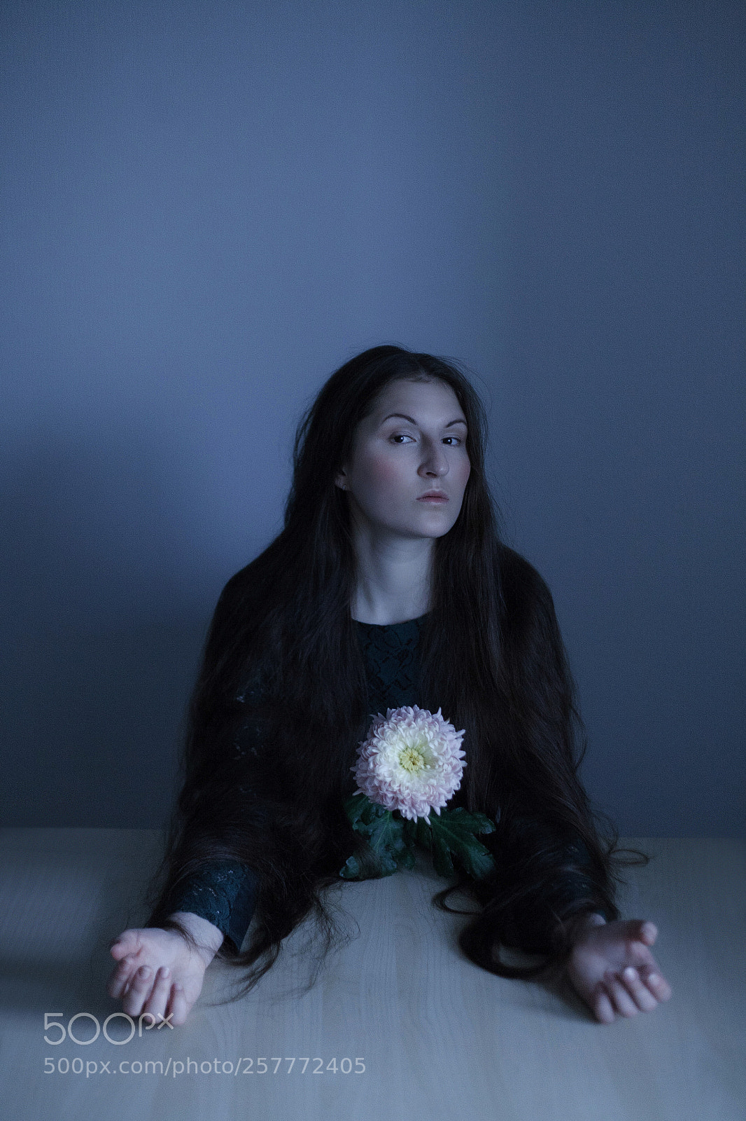 Canon EOS 5D sample photo. Blossom ii photography