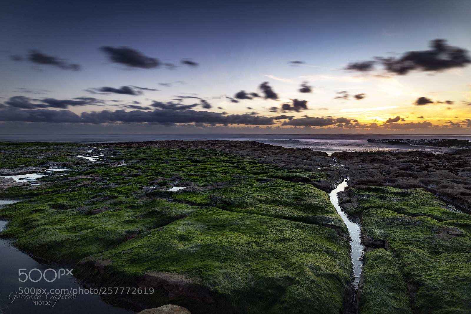 Canon EOS 6D sample photo. Praia da aguda photography