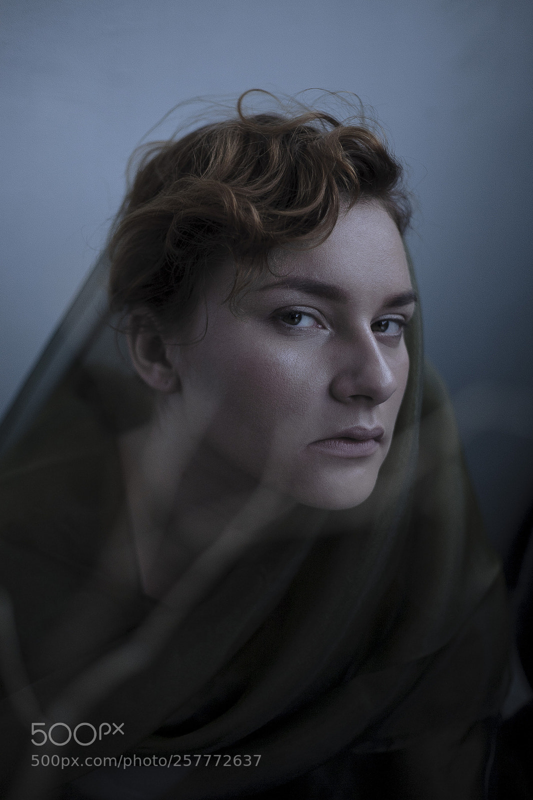 Canon EOS 5D sample photo. Daria ii photography
