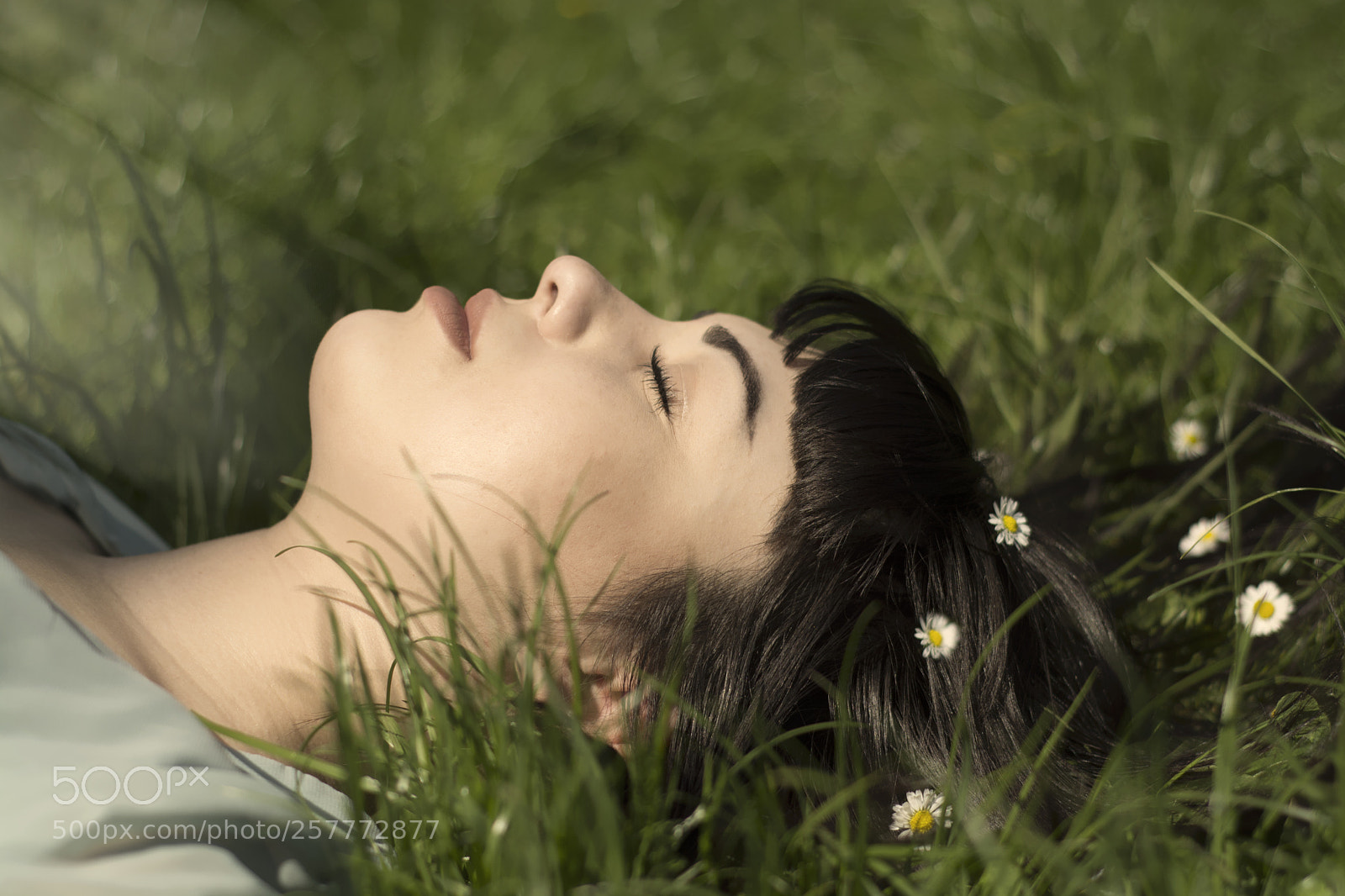 Nikon D7100 sample photo. Daisy photography