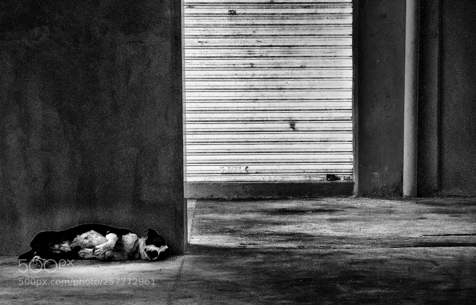 Canon EOS 70D sample photo. Siesta del can photography
