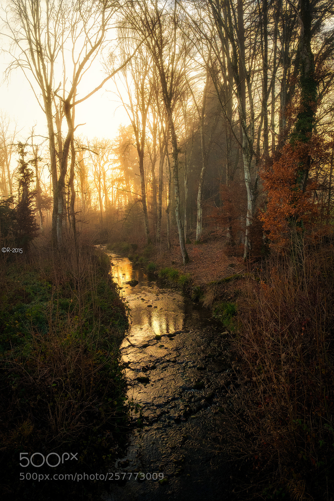 Fujifilm X-Pro1 sample photo. Sundown by the river photography