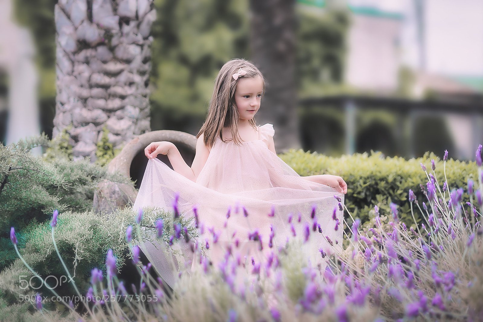 Sony a7R II sample photo. Like a princess photography