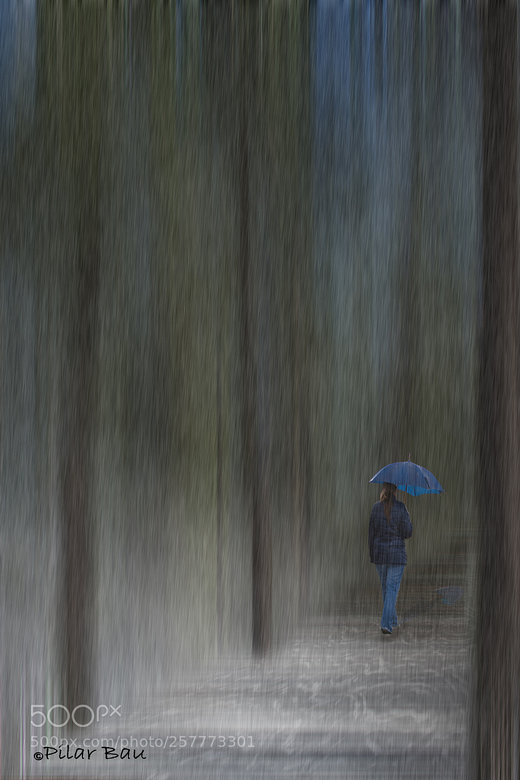 Nikon D3100 sample photo. Camino incierto photography