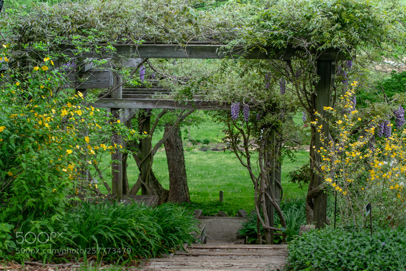 Canon EOS 7D sample photo. Quiet place photography