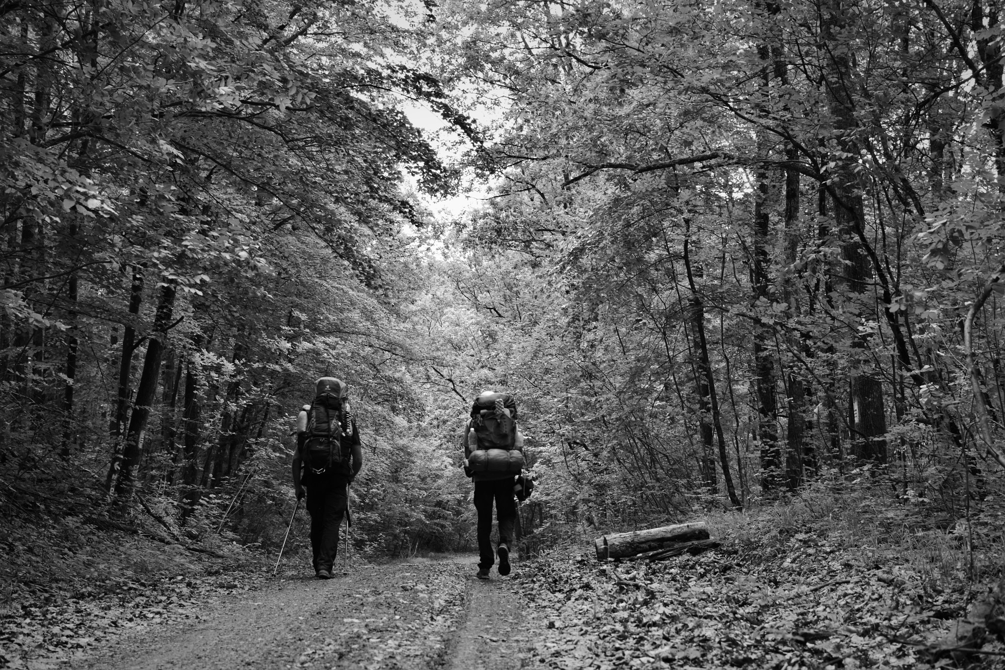 Nikon D5300 + Nikon AF-S DX Nikkor 35mm F1.8G sample photo. Hiking croatia photography