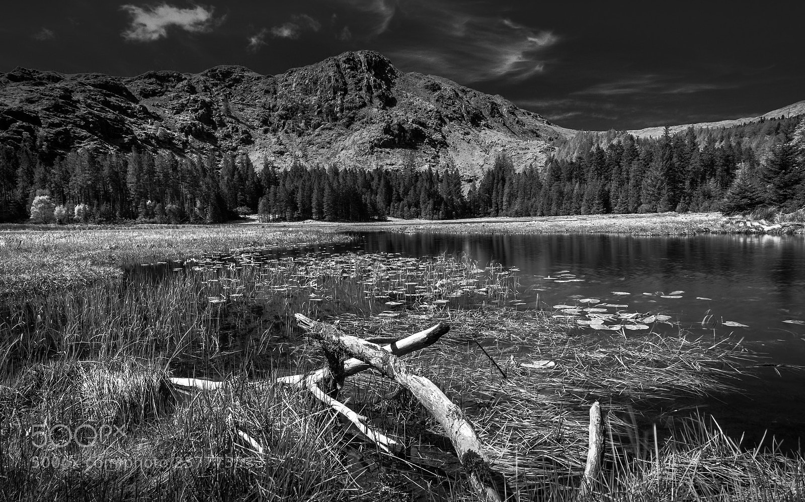 Sony a7S sample photo. Harrop tarn photography