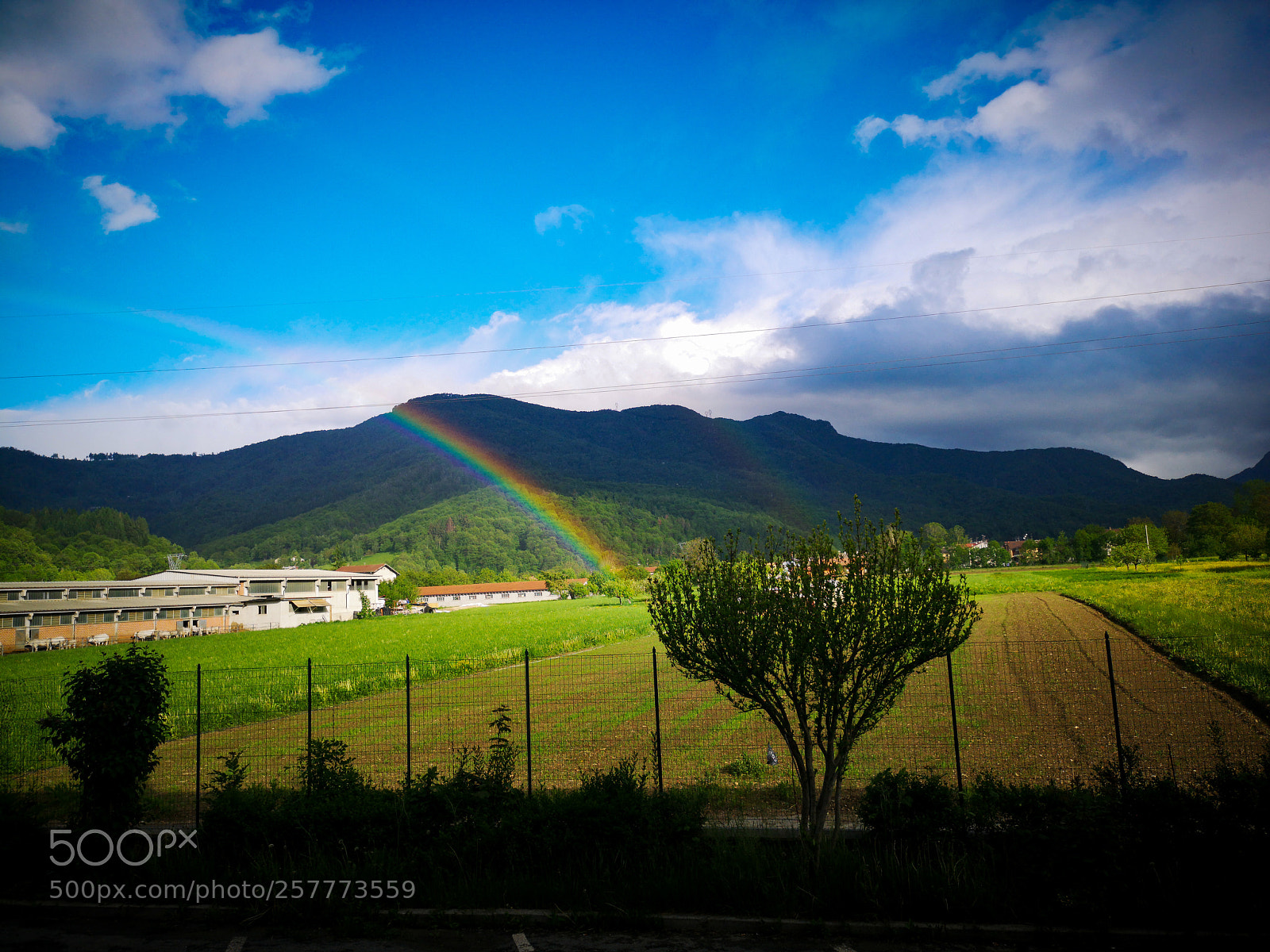 HUAWEI CLT-L09 sample photo. Double rainbow ? photography