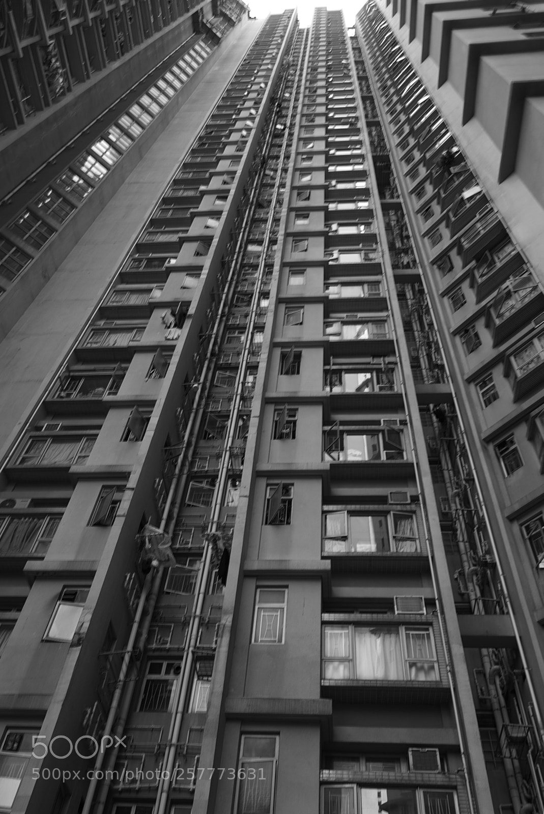 Nikon D7200 sample photo. Hong kong () photography
