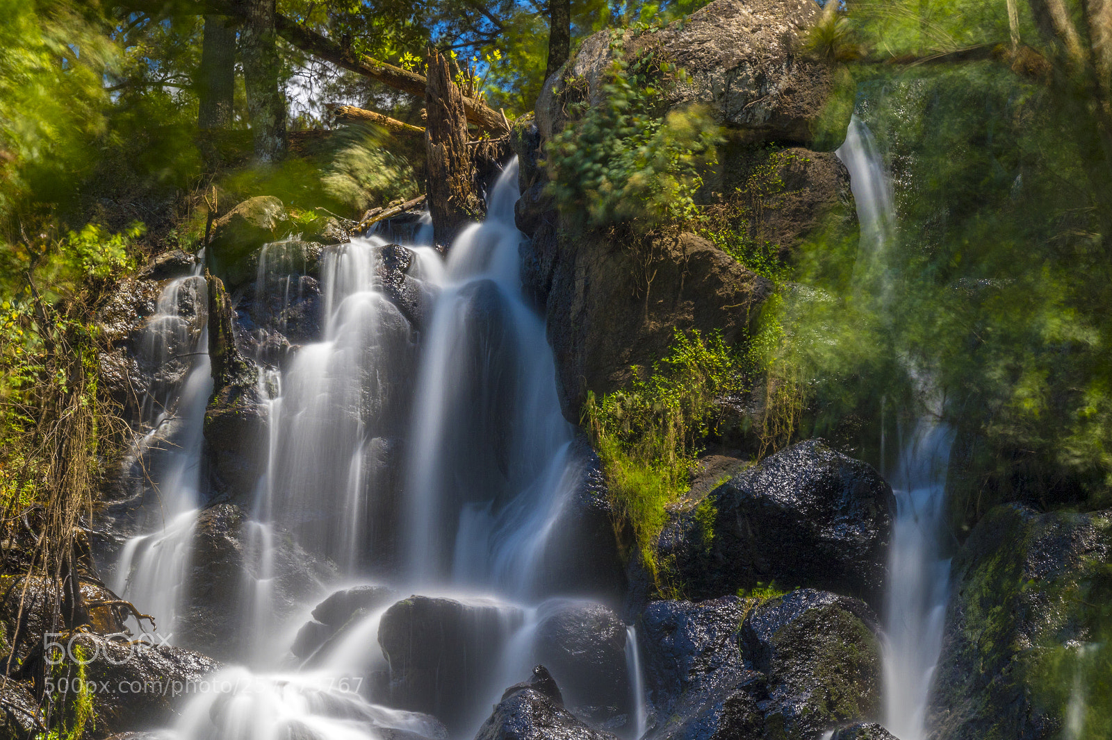 Canon EOS 7D Mark II sample photo. Velo de novia photography