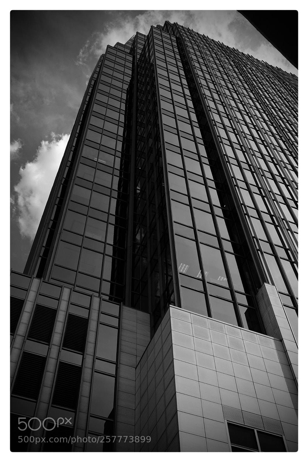 Sony a7R II sample photo. Tall boy photography