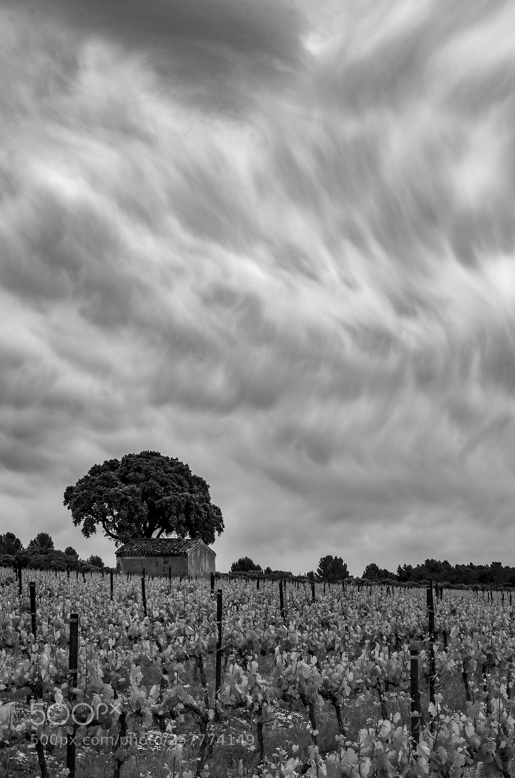 Pentax K-5 II sample photo. Big sky photography