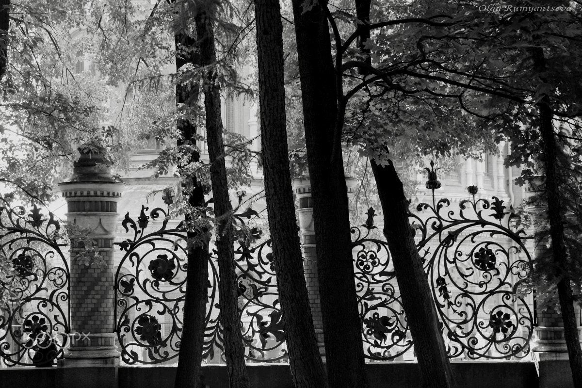 Canon EOS 50D sample photo. Sankt petersburg. photography