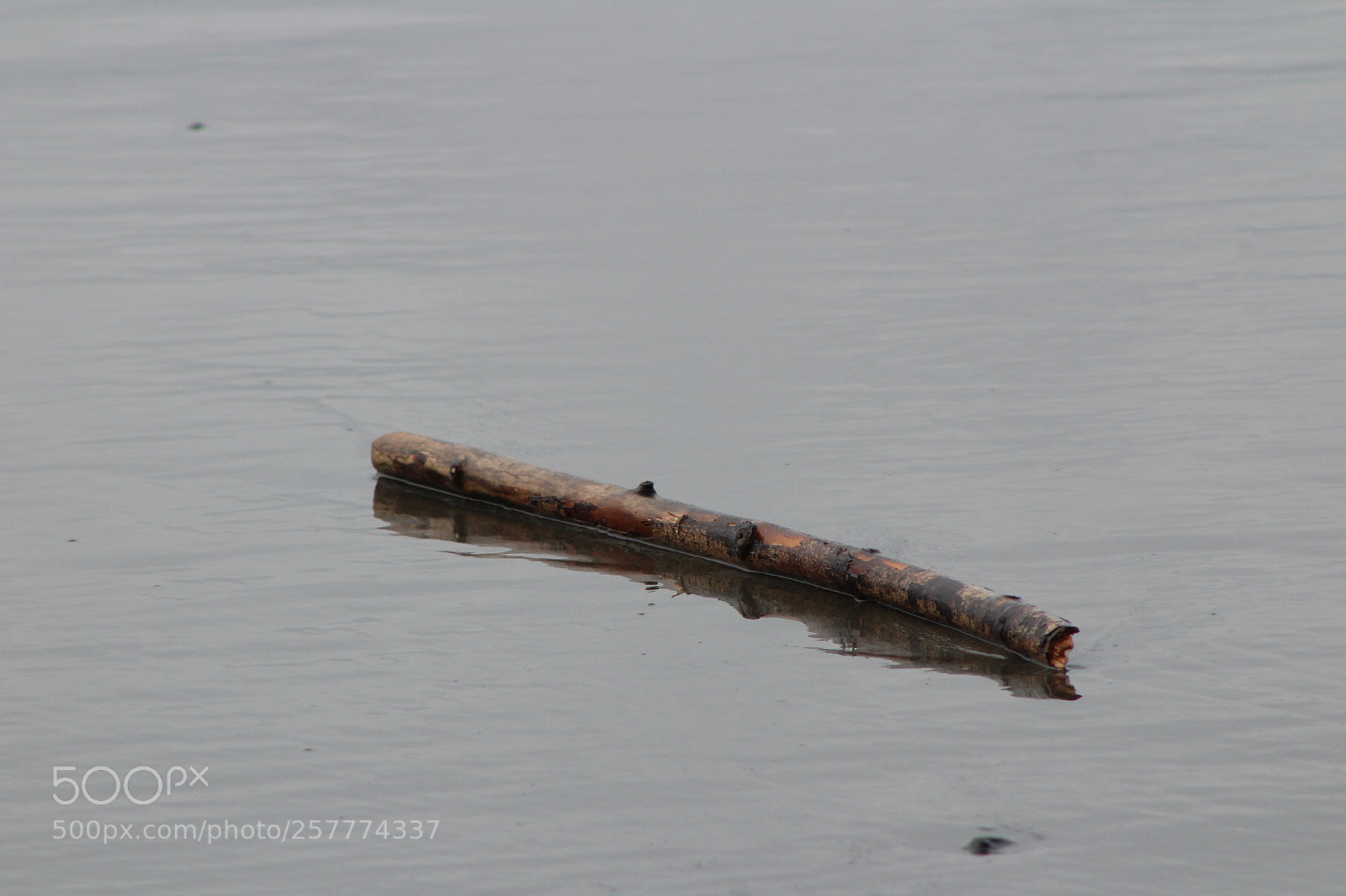 Canon EF 75-300mm f/4-5.6 sample photo. A day in washington photography