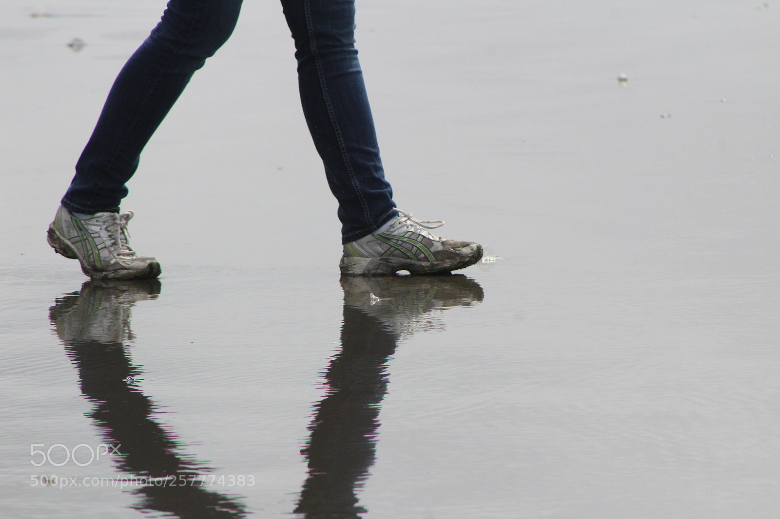 Canon EF 75-300mm f/4-5.6 sample photo. A day in washington photography