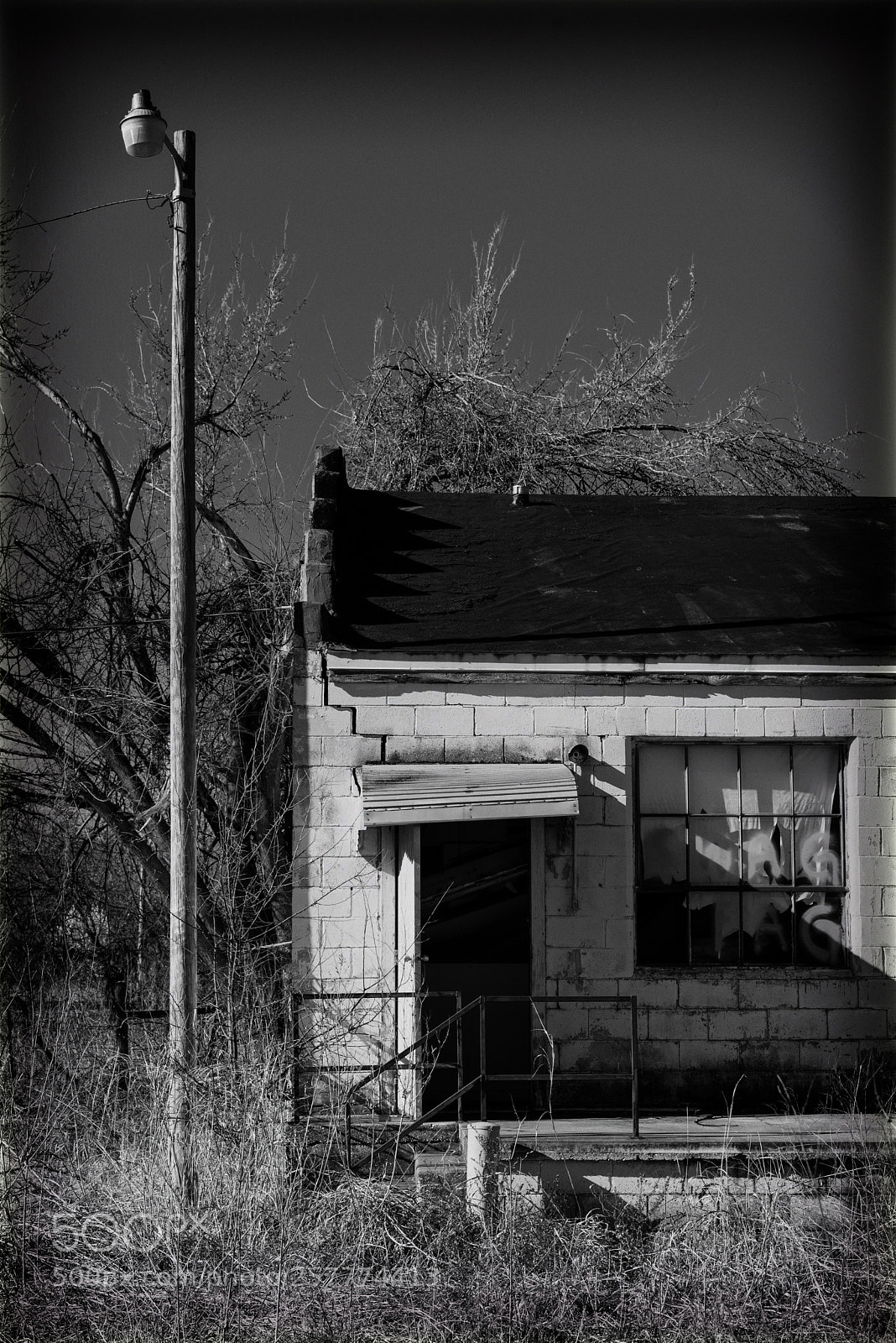 Nikon D750 sample photo. Ramshackle photography