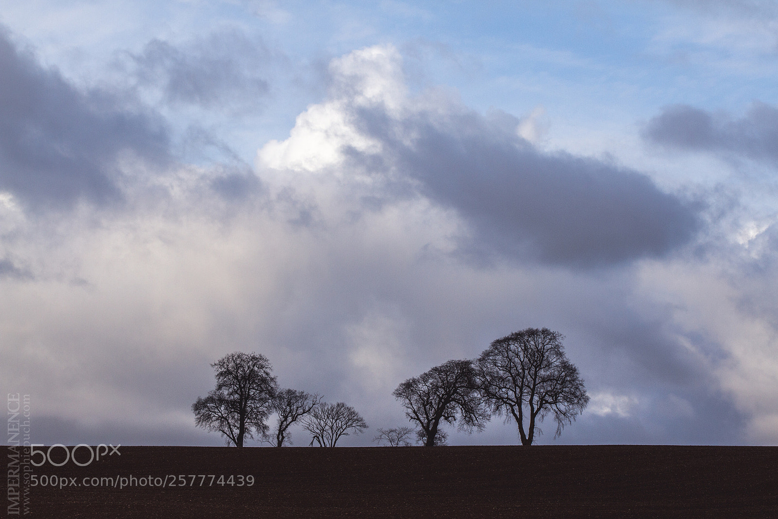 Canon EOS 7D sample photo. Clouds over fortrose photography