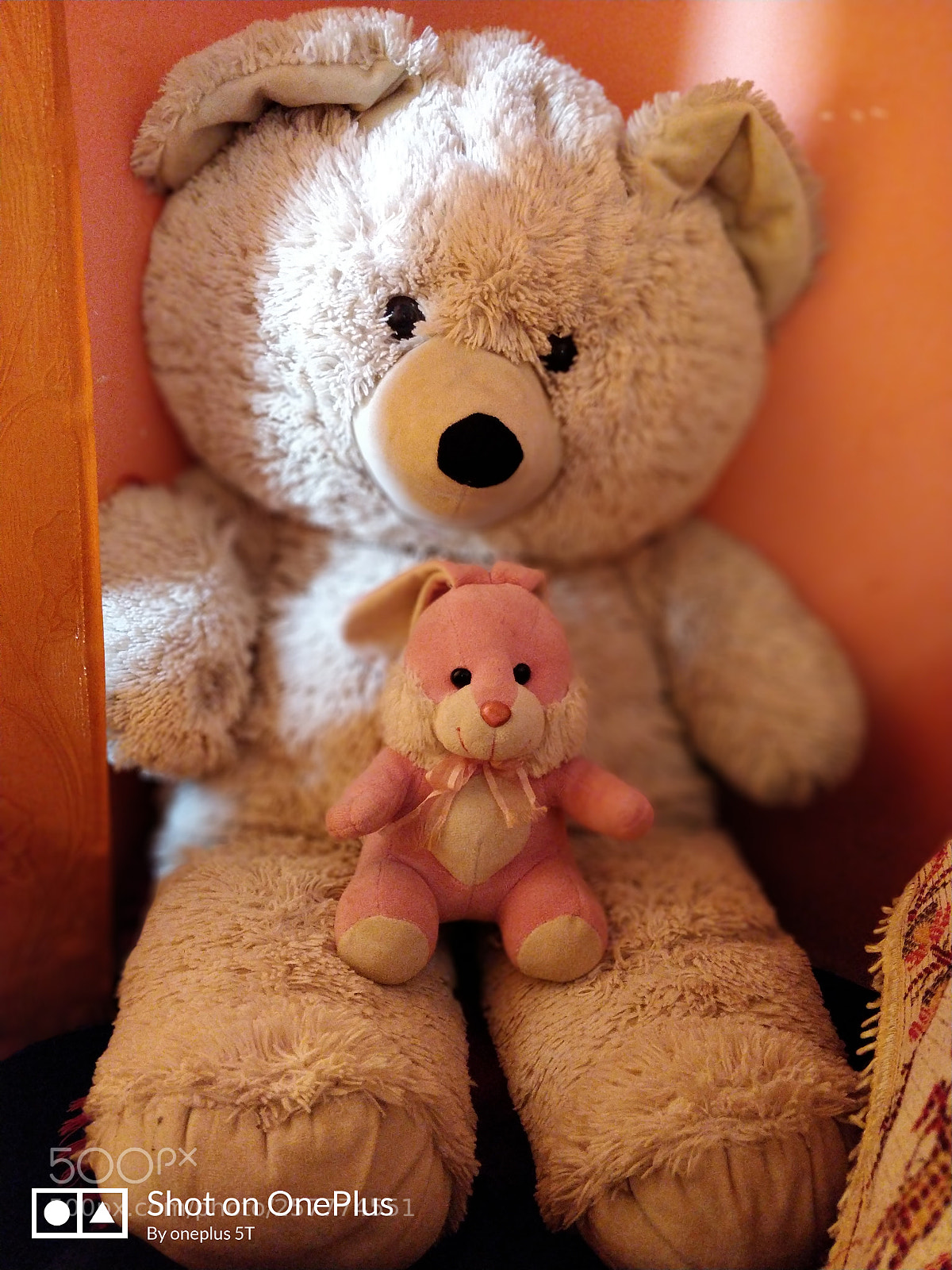 OnePlus 5T sample photo. Untitled photography
