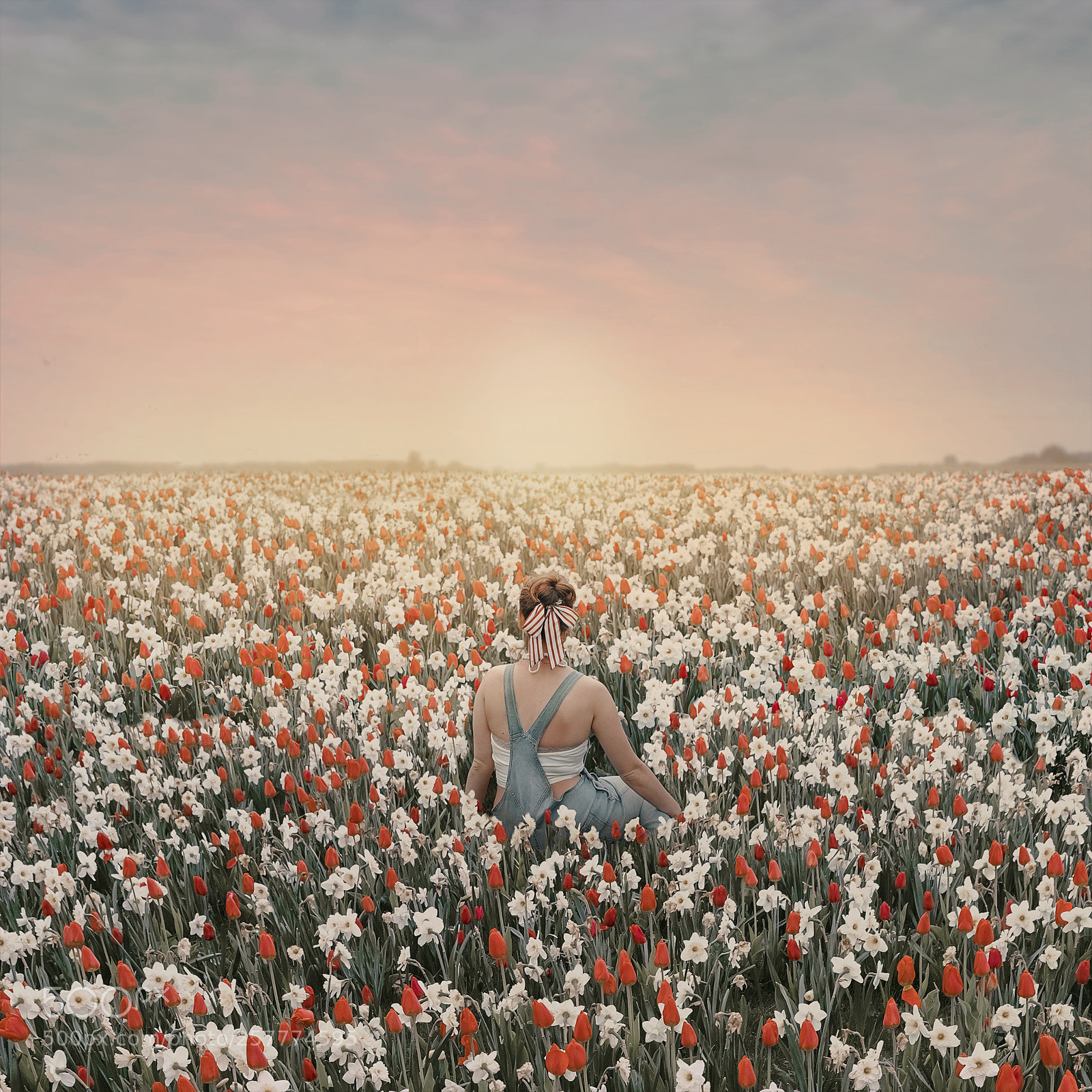 Sony a7R III sample photo. Through fields of flowers photography