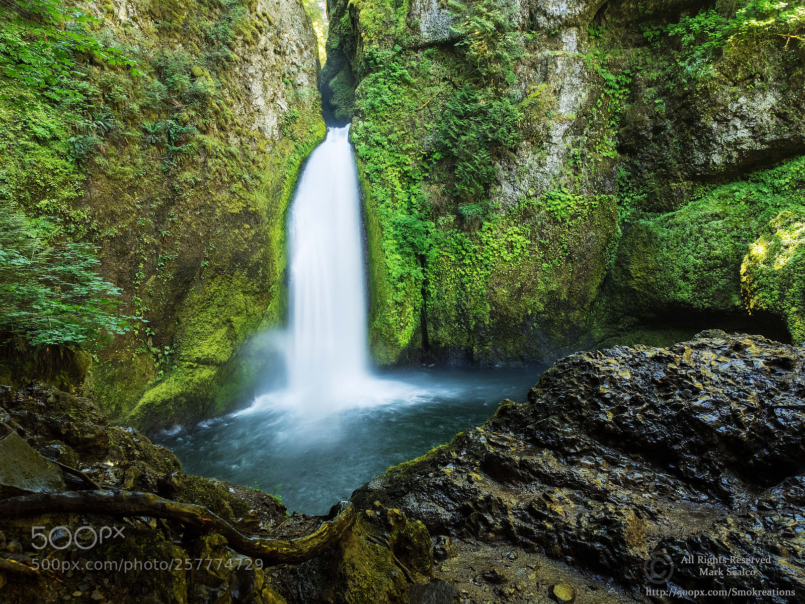 Olympus OM-D E-M1 sample photo. Wahclella falls 1 photography
