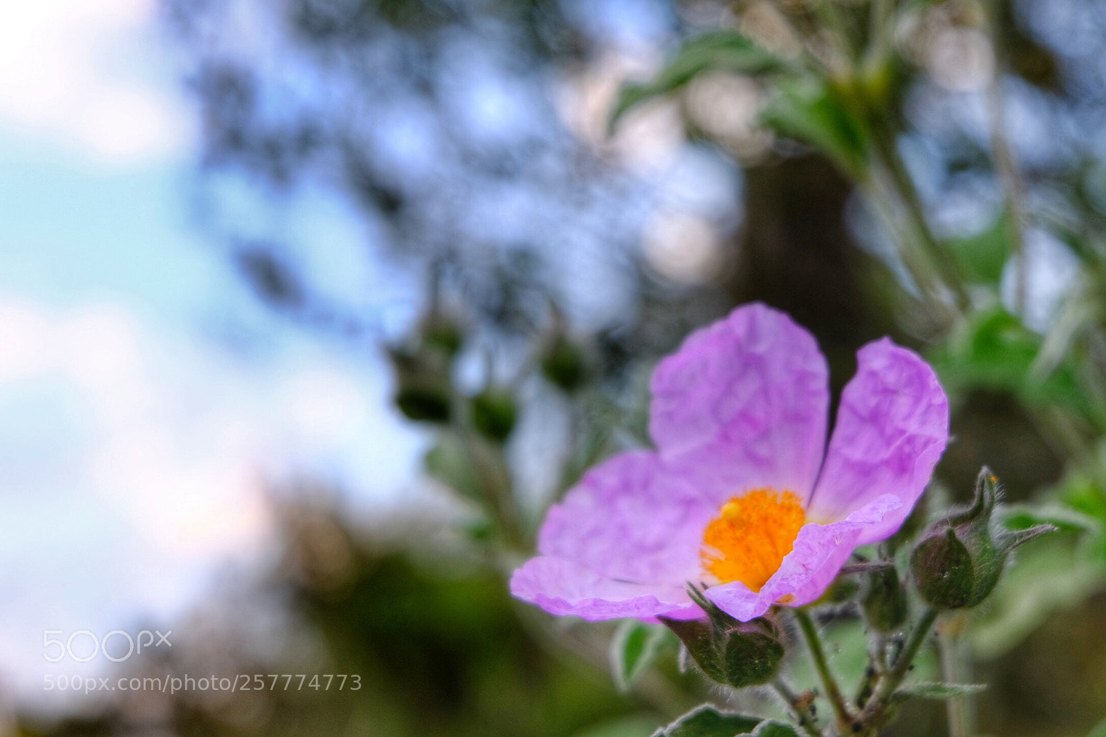 Fujifilm X-T20 sample photo. Untitled photography