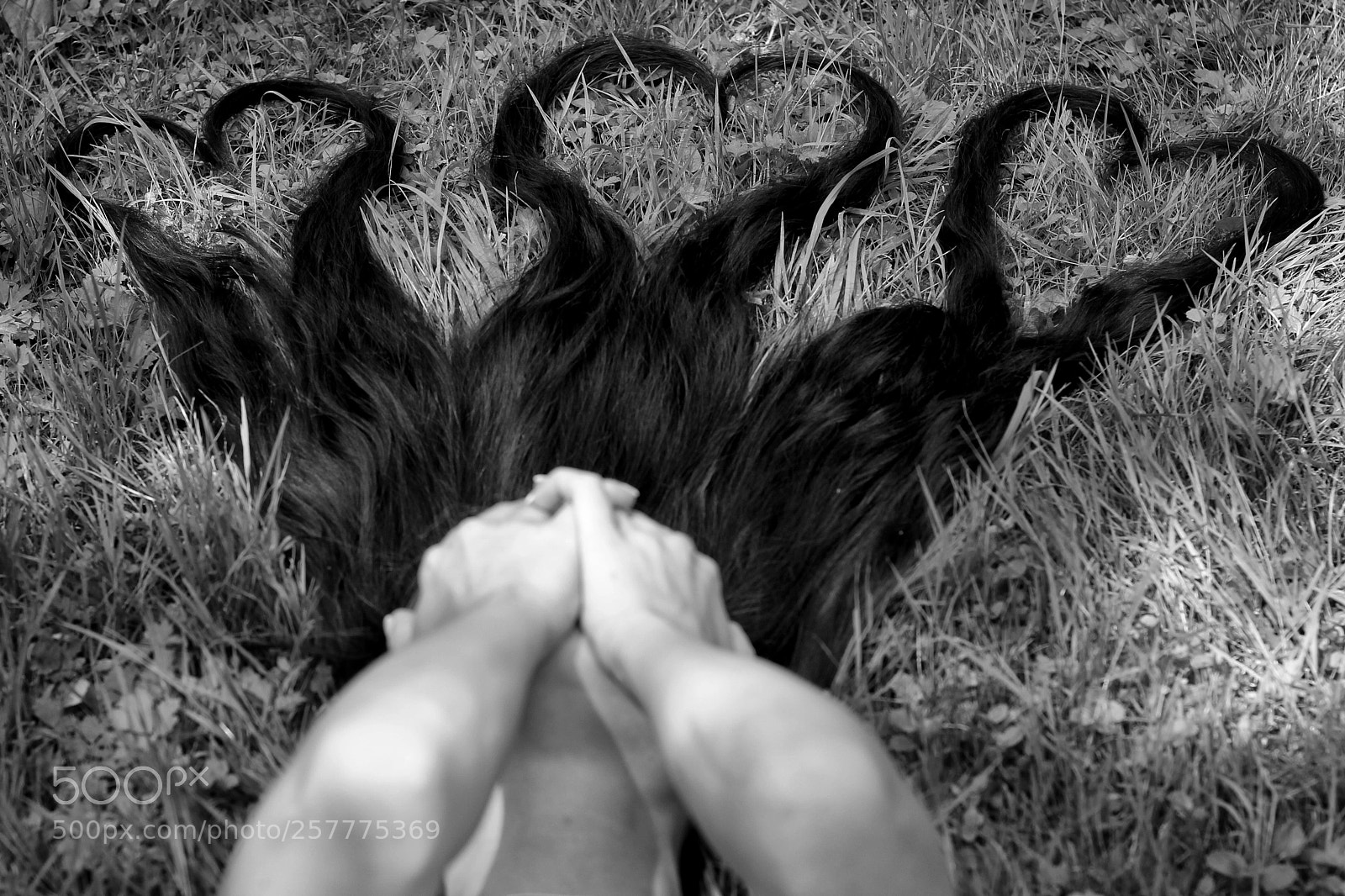 Canon EOS 60D sample photo. ~ love ~ love ~ love ~ photography