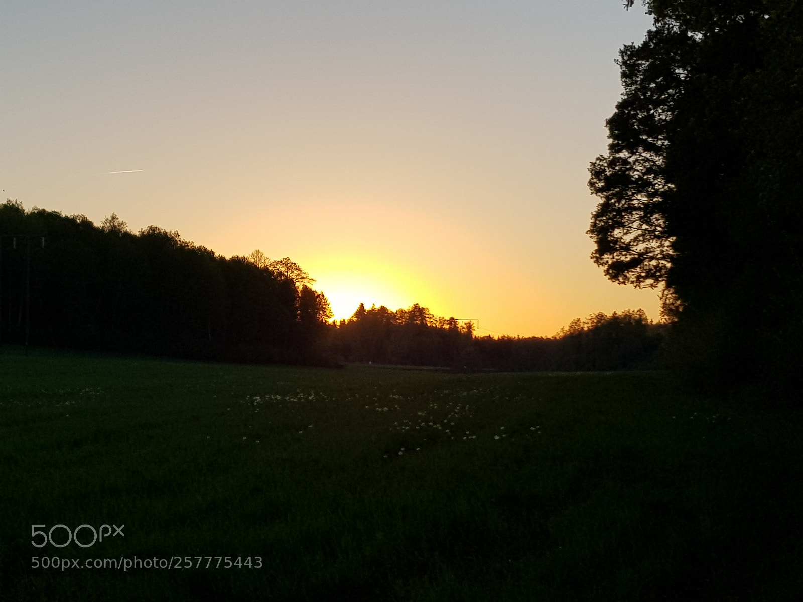 Samsung Galaxy S8 sample photo. Untitled photography