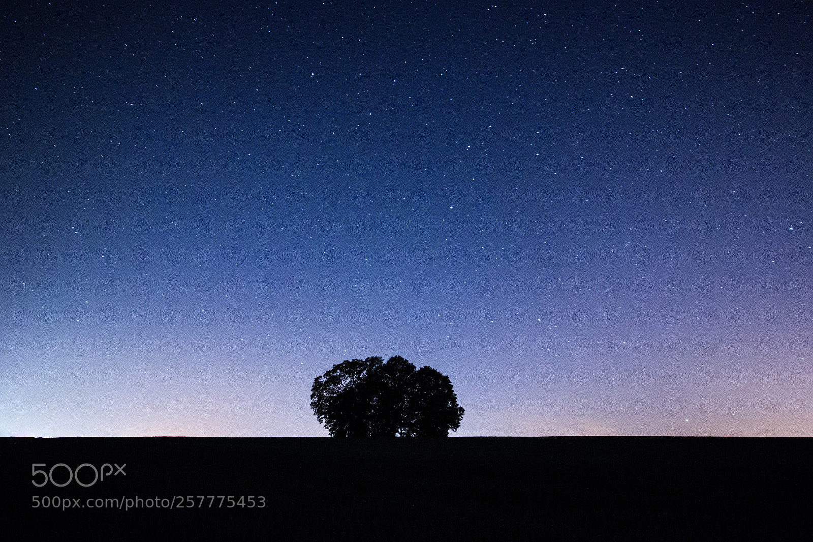 Canon EOS 70D sample photo. Night sky over field photography