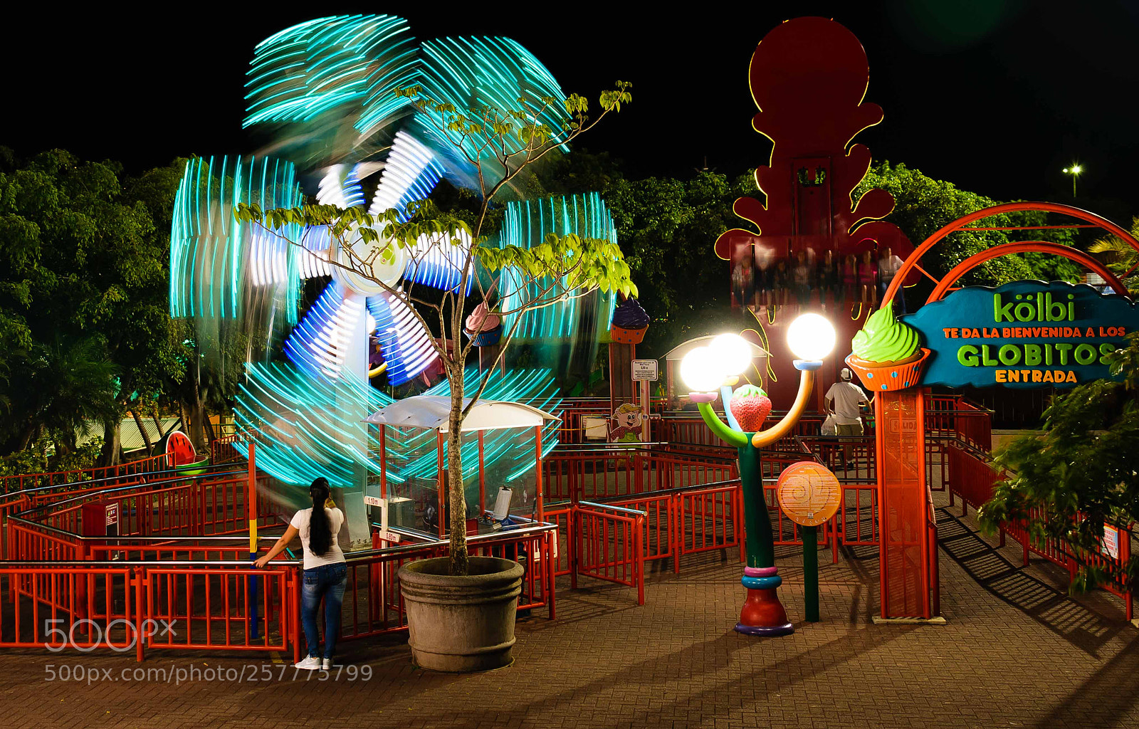 Nikon D5300 sample photo. Ed photography