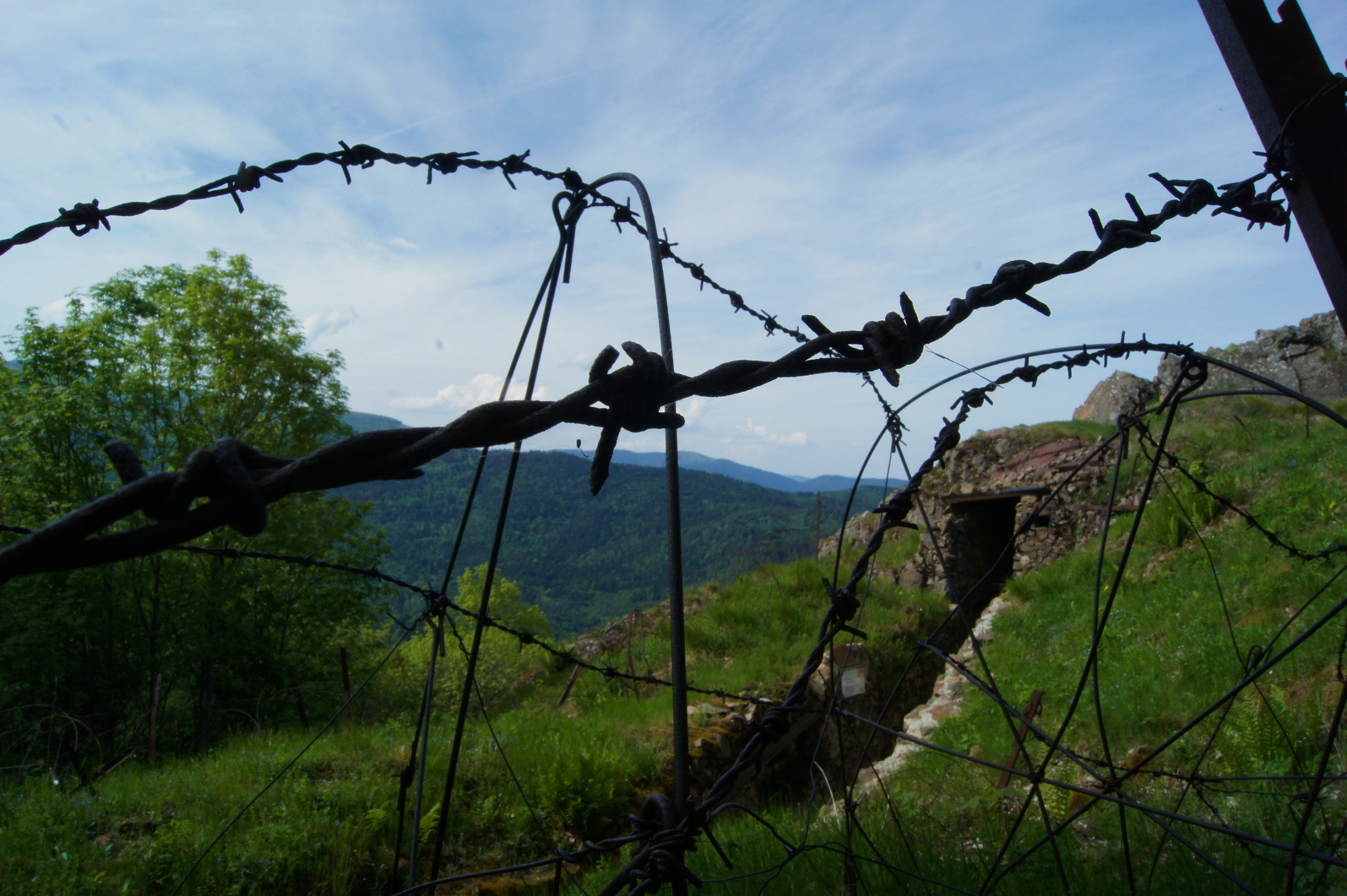 Sony Alpha DSLR-A450 sample photo. Vieil armand photography