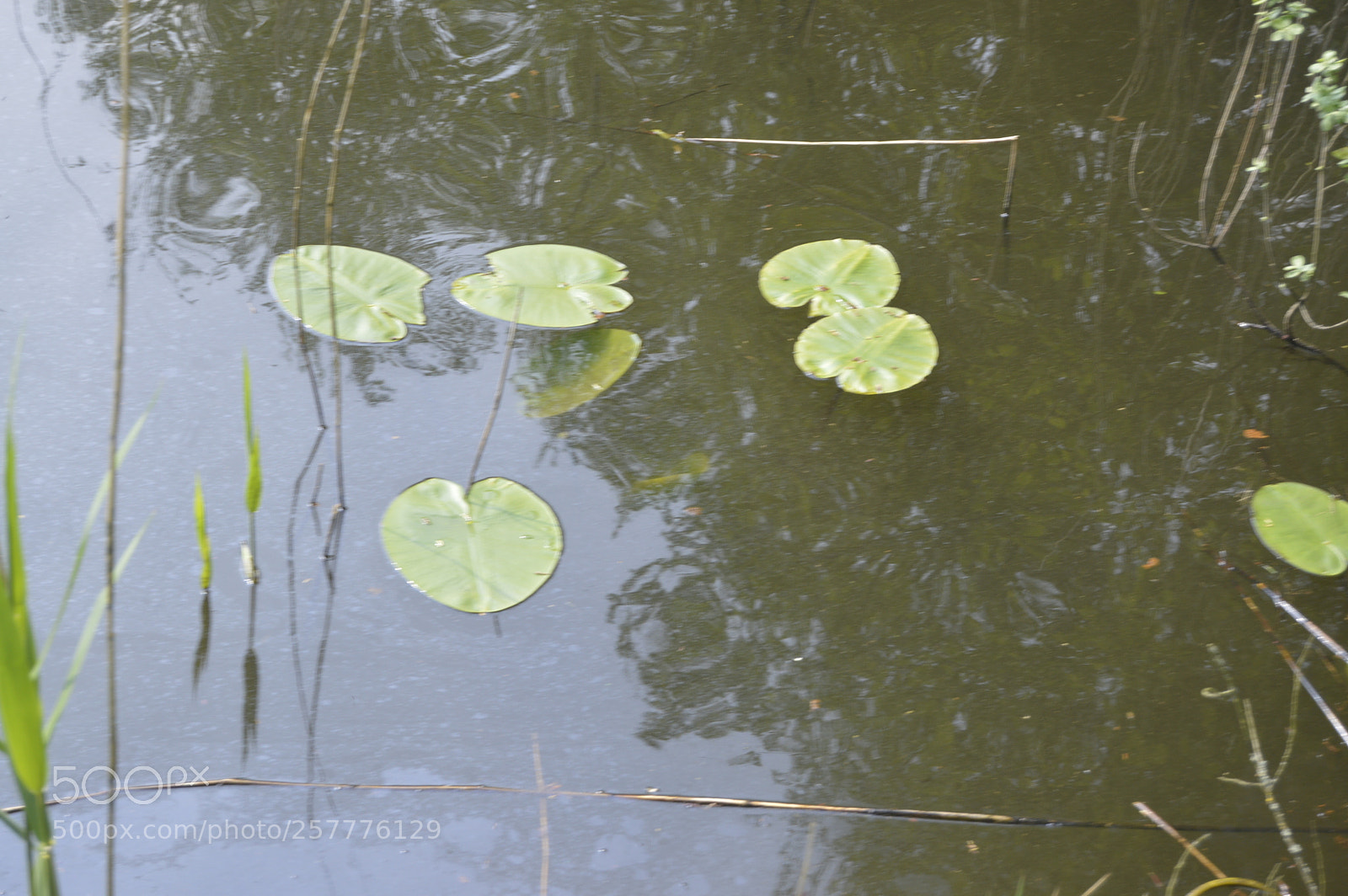 Nikon D3200 sample photo. Put & take photography