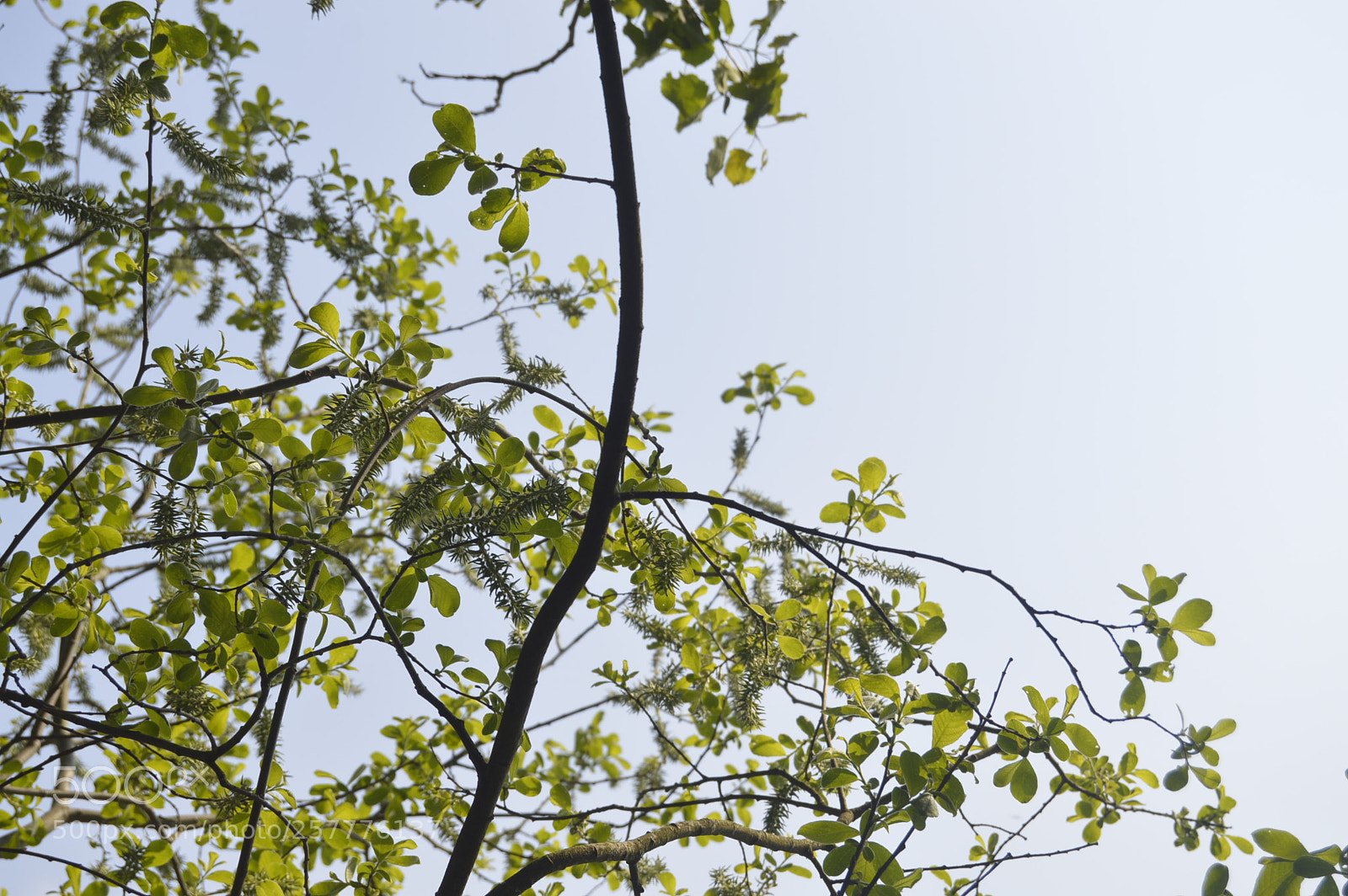 Nikon D3200 sample photo. Put & take photography