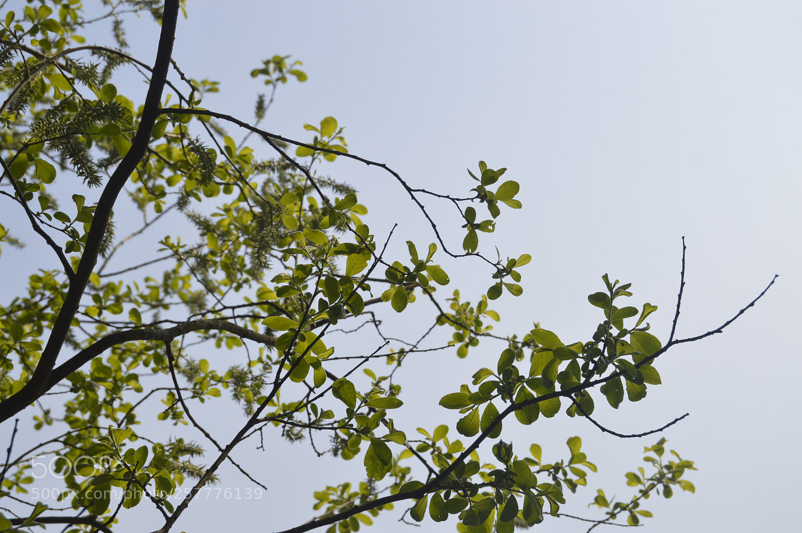 Nikon D3200 sample photo. Put & take photography