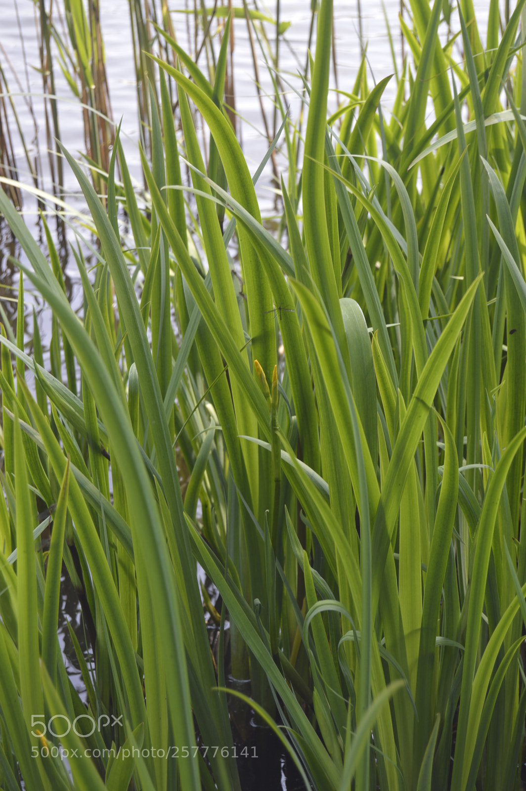 Nikon D3200 sample photo. Put & take photography